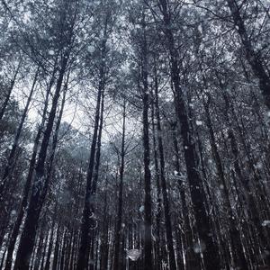 免费动漫成本人视频网站
