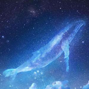 欧美老女人性爱视频
