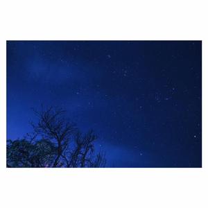 伊朗做爰XXXⅩ性视频
