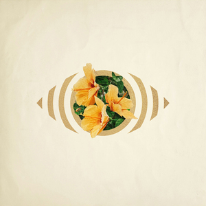 性裸交XXXXX免费无码刘亦菲
