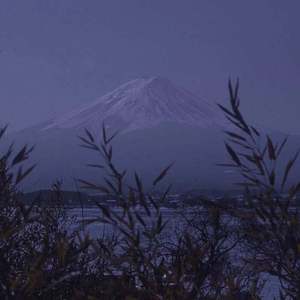 在厨房拨开内裤进入毛片
