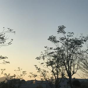 在厨房拨开内裤进入毛片
