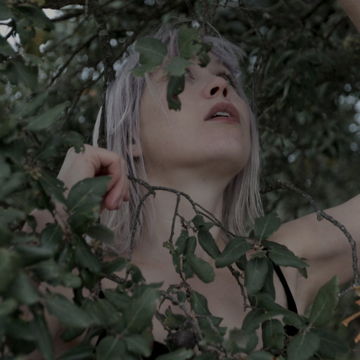 在厨房拨开内裤进入毛片
